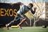 exos 2