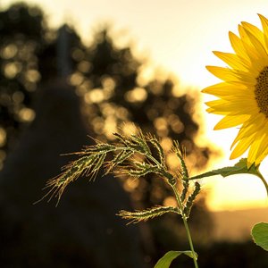 Les 5 Clés d'un Mindset Gagnant pour une Meilleure Santé Mentale et Physique